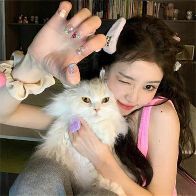 穿越王妃美又飒